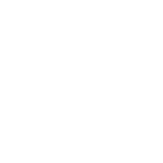 für iOS (Apple)